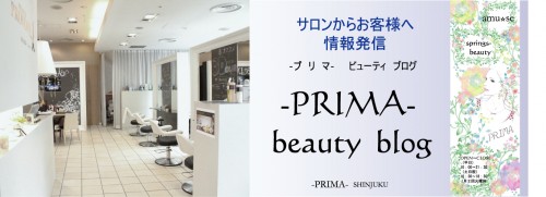 ブログﾄｯﾌﾟPRIMA